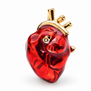 Loriova™ Anatomical Heart Brooch