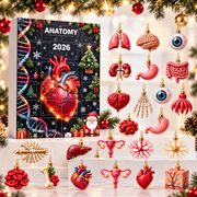 Loriova™ Anatomy Advent Calendar
