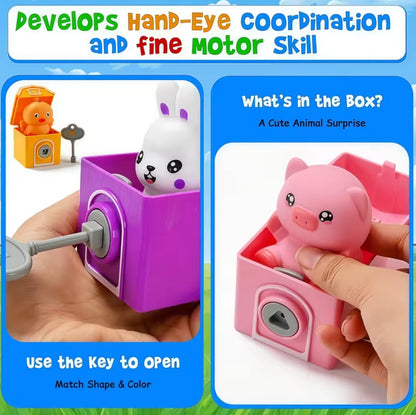 Montessori Learning Express™